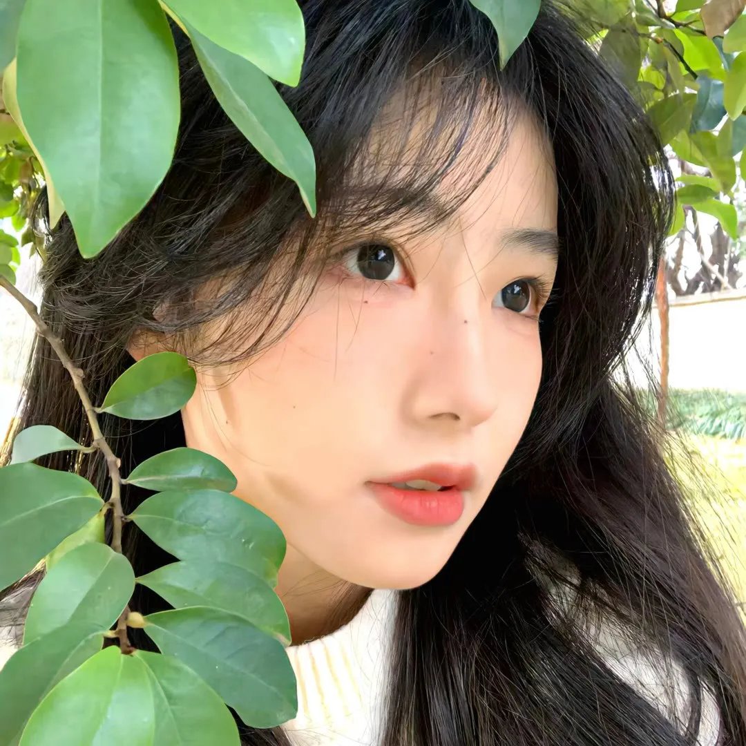 恶邻罗曼史